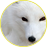 White_Fox