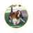 Basset